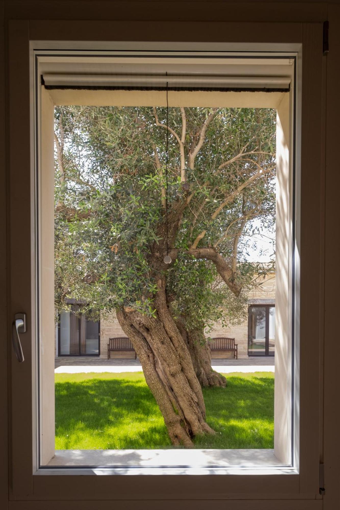 Secolario Masseria Del Viverbene Palmariggi المظهر الخارجي الصورة