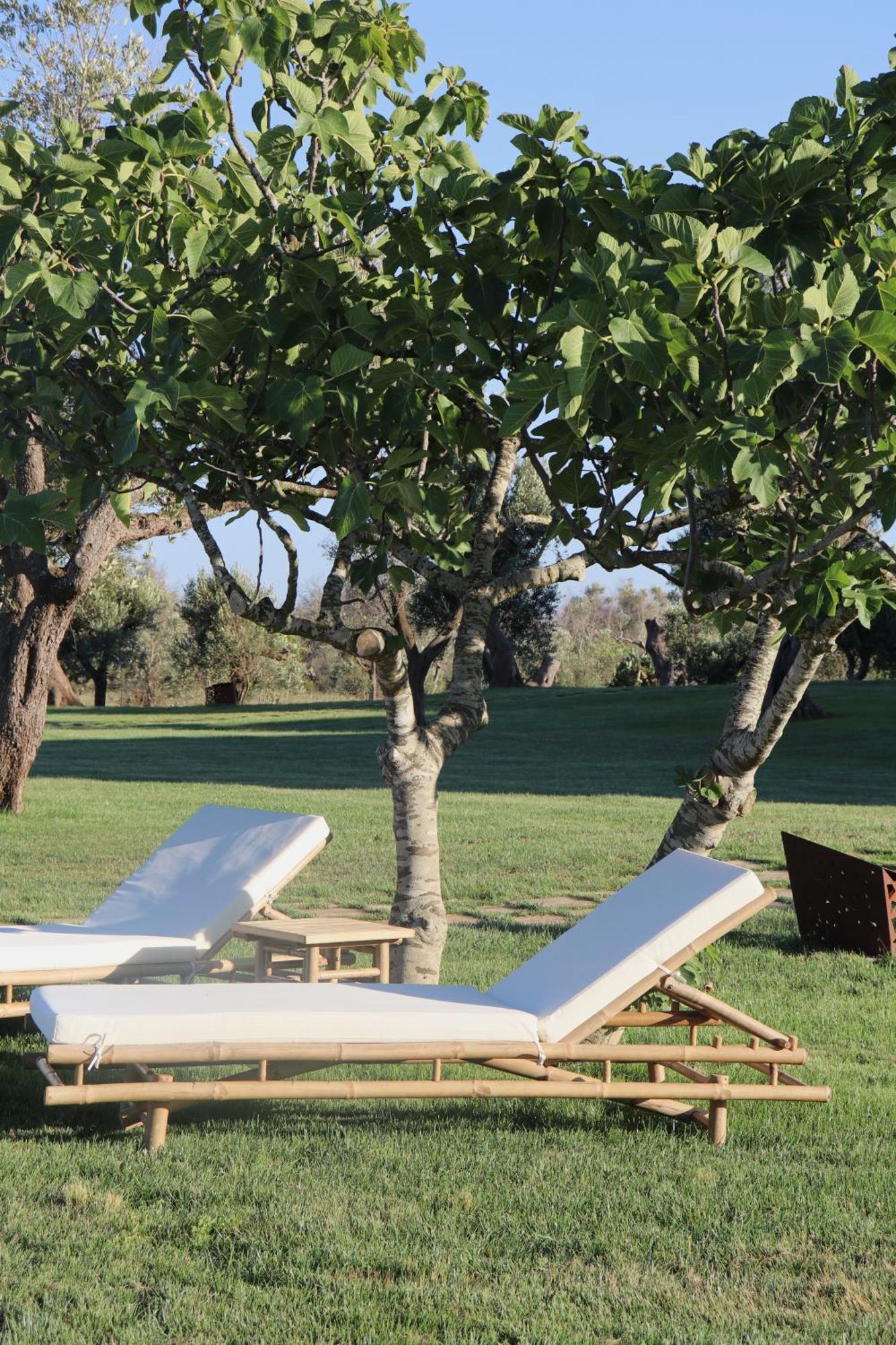 Secolario Masseria Del Viverbene Palmariggi المظهر الخارجي الصورة