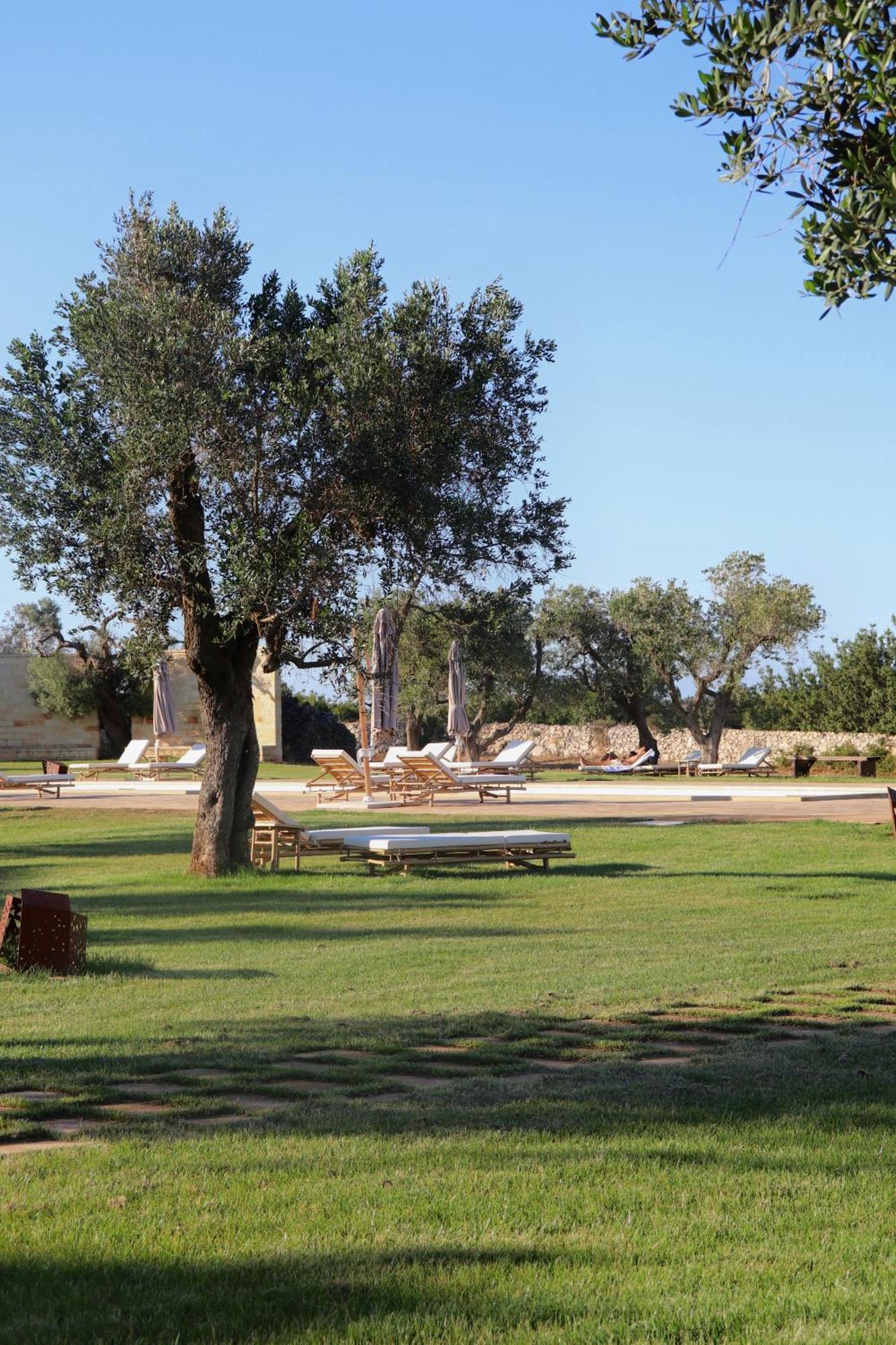 Secolario Masseria Del Viverbene Palmariggi المظهر الخارجي الصورة